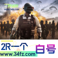 永劫无间+PUBG【白号】98新号名字自己创建